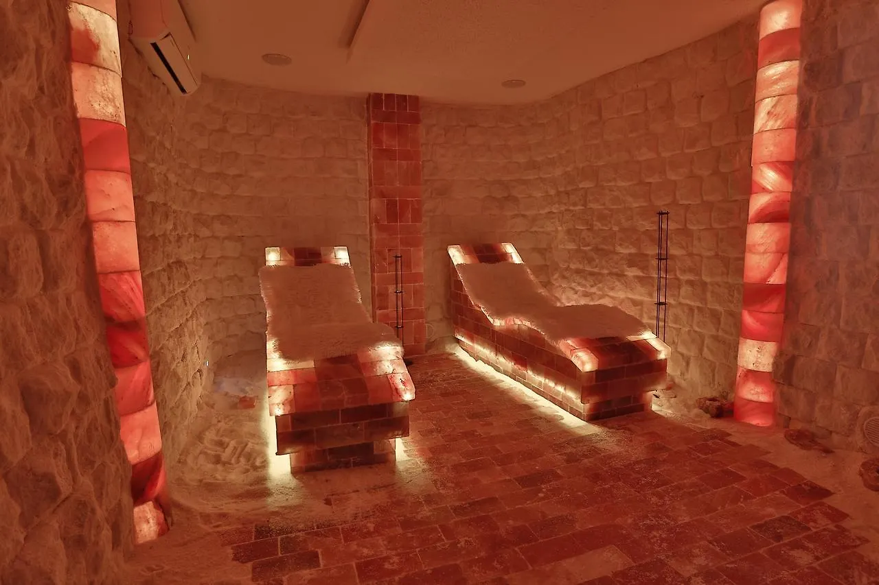 Wellness & Spa Boutique Hotel Pod Lipkami Прага 4*,  Чехия
