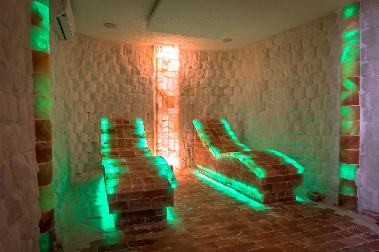 ****  Wellness & Spa Boutique Hotel Pod Lipkami Прага Чехия