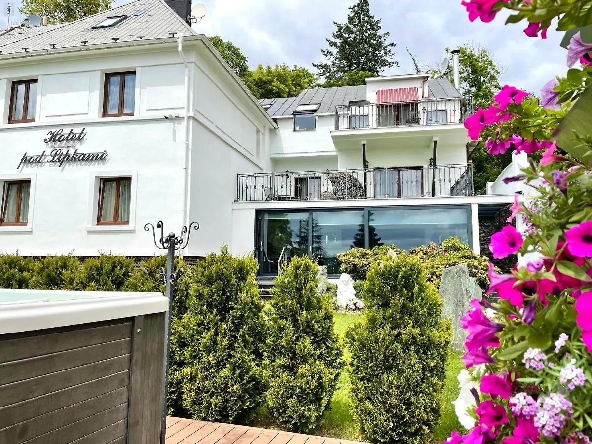 Wellness & Spa Boutique Hotel Pod Lipkami Прага 4*,