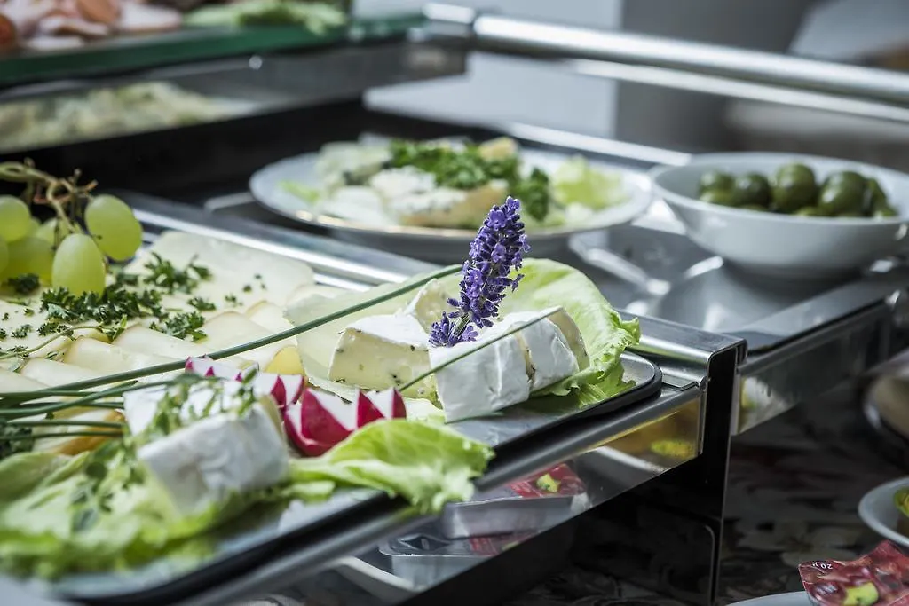 Wellness & Spa Boutique Hotel Pod Lipkami Praga Czechy