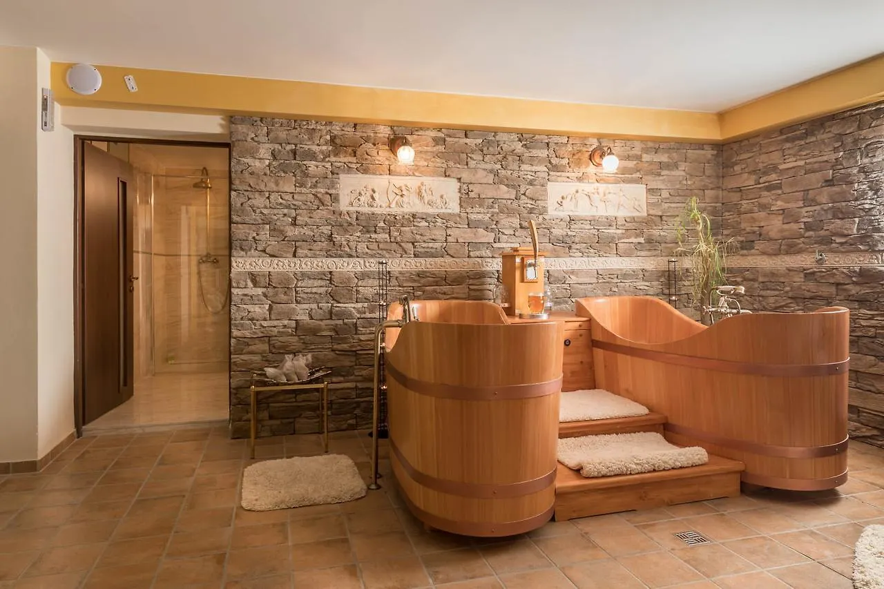 ****  Wellness & Spa Boutique Hotel Pod Lipkami Прага Чехия